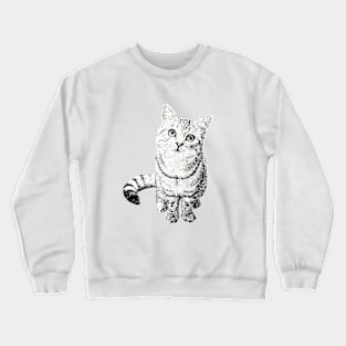 Cats Print Crewneck Sweatshirt